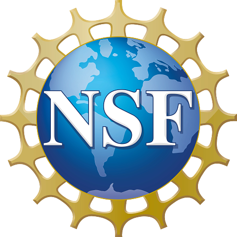 NSF logo